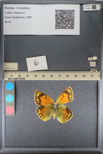 Media type: image;   Entomology 193881